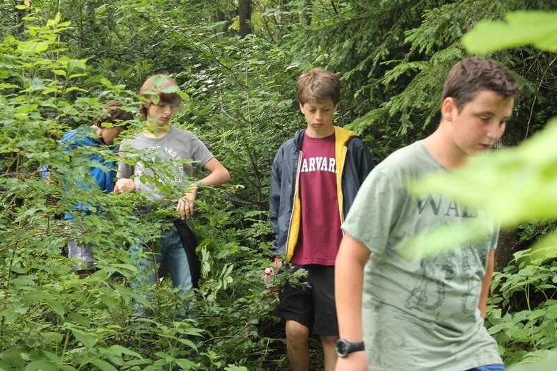 Village Camps International Summer Camp Leysin, Switzerland 2025-08-09 https://www.villagecamps.com/journals_admin/images/699-43-adventure (29).jpg